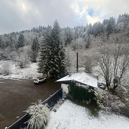 Studio Chalet Cosy Gérardmer Екстериор снимка