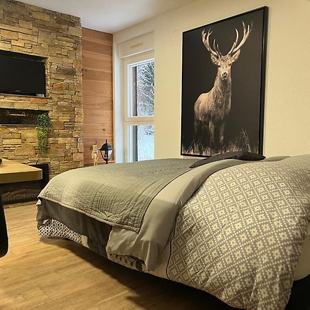 Studio Chalet Cosy Gérardmer Екстериор снимка